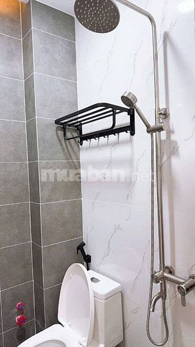 Bán nhà Lê Hồng Phong Q5 - 3,5m x 10m nở hậu 6m