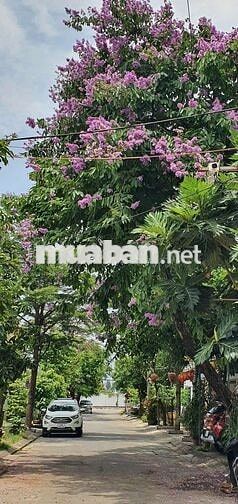 5,45tỷ thì MUA NHÀ KIỆT ở TRUNG TÂM ĐÀ NẴNG hay ĐẤTMẶTTIỀN gần BIỂN XT