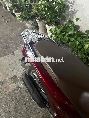 Honda Vision Đỏ 2024