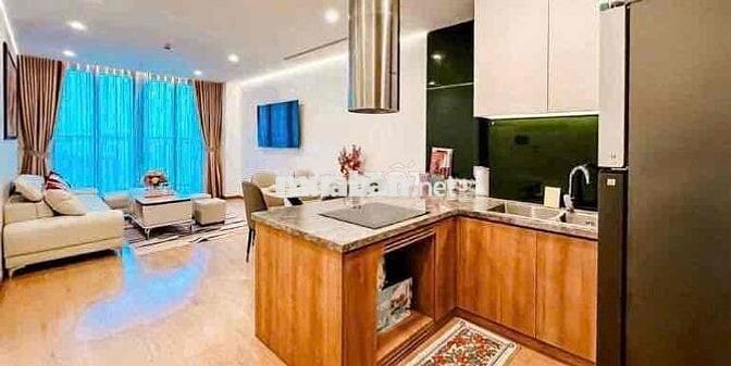 Cho thuê căn hộ 2 phòng ngủ Sam Tower, Full nội thất giá tốt