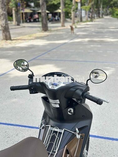 🌈 Future Led 2021 BSTP Zin Mộc - Góp 50% Bao Đậu