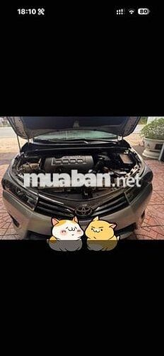 Toyota Corolla Altis Bạc