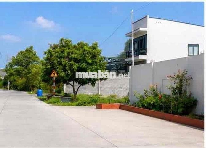 ĐẤT FULL THỔ CƯ NGANG LỚN 8M NGAY TRUNG TÂM TÂN AN HỘI GIÁ MỀM