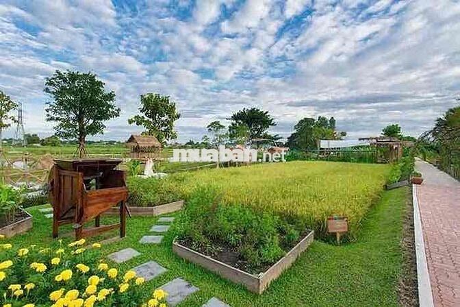900m đất biêt thự. view canha đông.  tiện ích đầy đủ. cách tp 10km