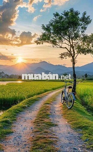 900m đất biêt thự. view canha đông.  tiện ích đầy đủ. cách tp 10km