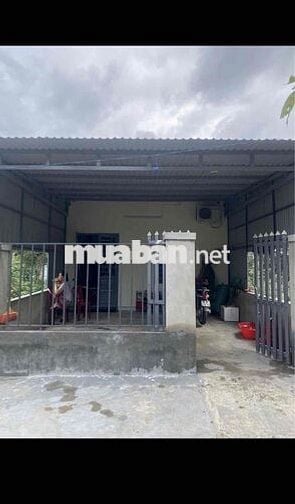 Bán nhà cấp 4 tại tdp phú thượng phường Hòa Khánh