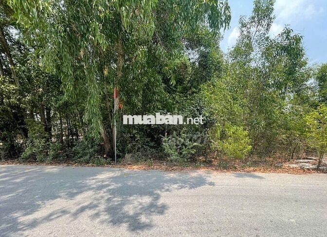 Bán đất mặt tiền đường Tân Thành 60