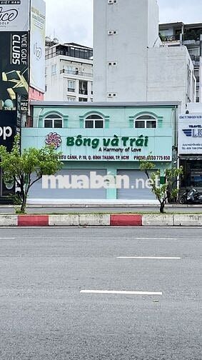 Cho Thuê Nhà Mặt Tiền Nguyễn Hữu Cảnh