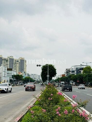 Bán nhà MẶT TIỀN 183 PHẠM VĂN ĐỒNG p4 GÒ VẤP (gần Bv175 - Vòng Xoay - 