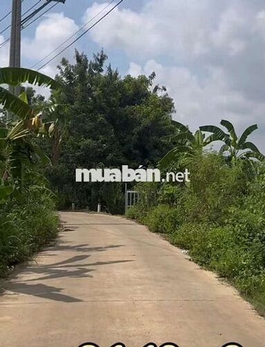 Đất vườn PHÚ HÒA ĐỒNG NAI 3149m2 giá 2ty2