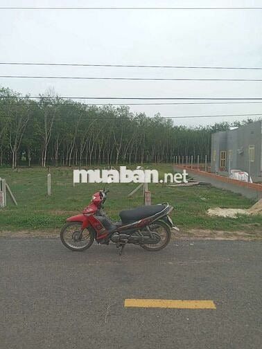 Bán đất 144.8m2 thổ cư 678 4-4 Xã Dương Minh Châu Tây Ninh 500 triệu