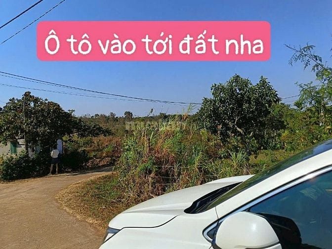 CHÍNH CHỦ CẦN BÁN GẤP LÔ ĐẤT ĐẸP TẠI CƯ M'GAR, ĐẮK LẮK GIÁ CHỈ 209