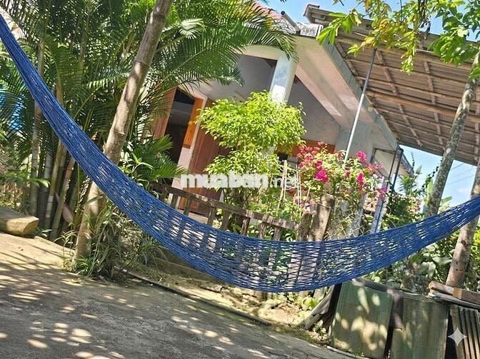 Cần bán đất ven sông chính chủ
