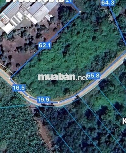 Đất vườn PHÚ HÒA ĐỒNG NAI 3149m2 giá 2ty2