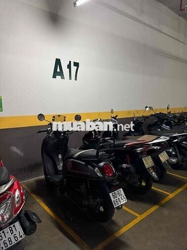 Honda Scoopy nhập Thái