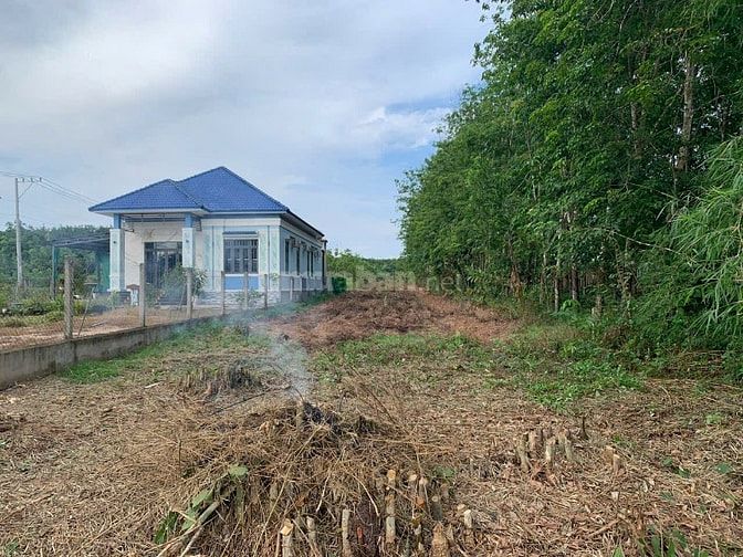 (Chính Chủ Đất) 3632m2,Xã Minh Thạnh TP.HCM- Mặt Tiền DT749A.