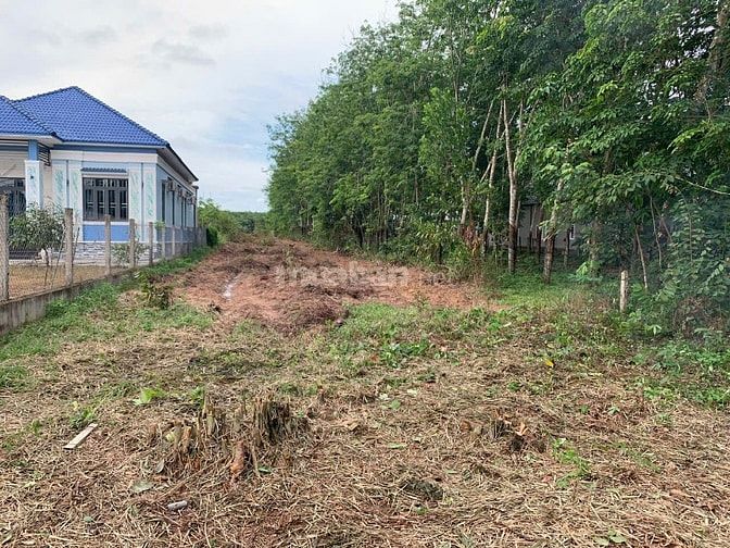 (Chính Chủ Đất) 3632m2,Xã Minh Thạnh TP.HCM- Mặt Tiền DT749A.