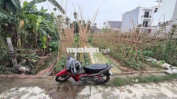 đất đẹp an cư, 50m2 giá đầu tư chỉ 950 triệu tại đào yêu hồng thái.