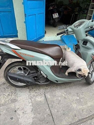 Honda Vision 2023 Xanh xi măng