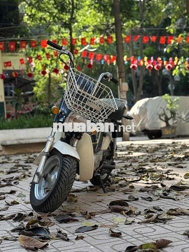 Honda Chaly 1996 Xanh sưu tầm bày cảnh xe ngon zin