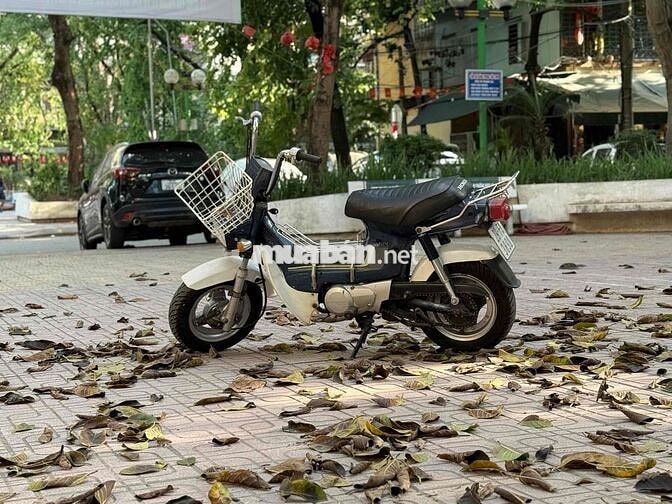 Honda Chaly 1996 Xanh sưu tầm bày cảnh xe ngon zin