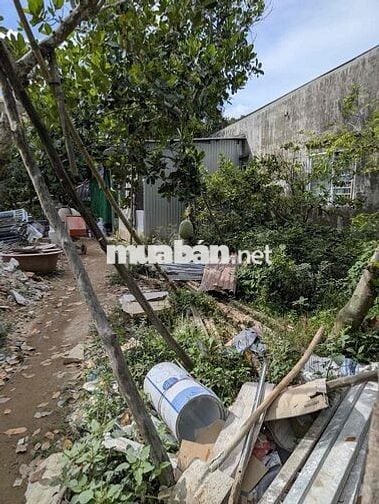 Em cần tiền bán lô đất quê lên Vũng Tàu mua nhà