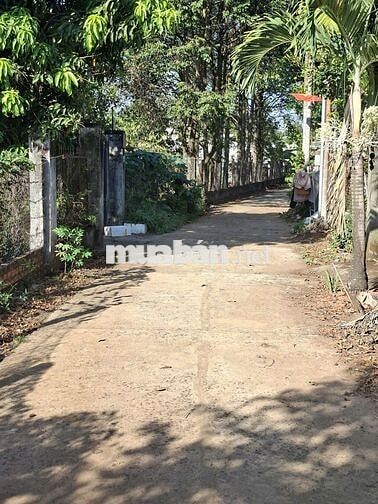 Bán đất quốc lộ 14, ngã ba Duy Hoà, Buôn Ma Thuột, Đắk Lắk, giá 1 tr 