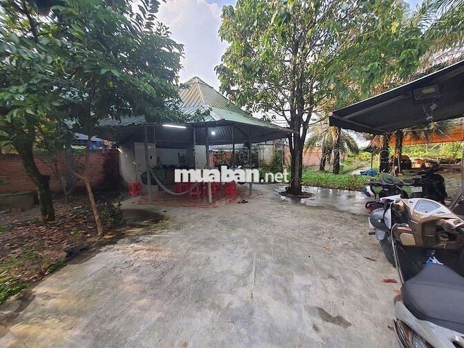 Chính chủ bán 1.400 m2 đất ở gần cầu Rạch Tra.