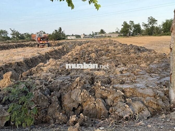 Chính chủ đăng bán 1000m2 (2 sổ 500m2) đường liên tỉnh Mỹ Lệ - Tân Lân