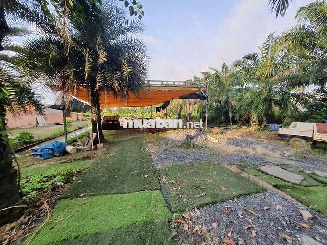 Chính chủ bán 1.400 m2 đất ở gần cầu Rạch Tra.