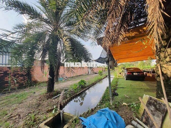 Chính chủ bán 1.400 m2 đất ở gần cầu Rạch Tra.