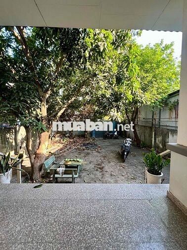 Cho Thuê Biệt Thự Đường Nhựa Thông DT 10x40m 1Trệt 1Lầu 5Pn 4Wc Vườn