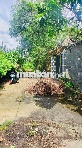Bán Gấp 540m2 đất cây lâu năm hẻm Lê Văn Lương, Nhơn Đức, NBe