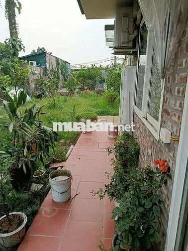 Cho thuê nhà vuờn Phú Diễn 55m2 6tr/1 tháng