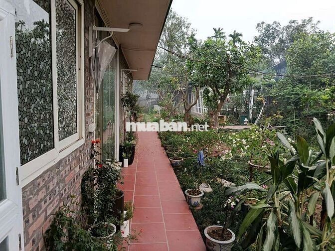 Cho thuê nhà vuờn Phú Diễn 55m2 6tr/1 tháng