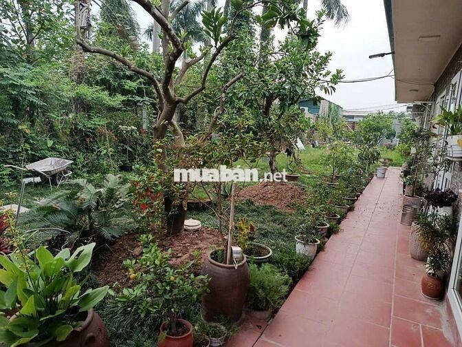 Cho thuê nhà vuờn Phú Diễn 55m2 6tr/1 tháng