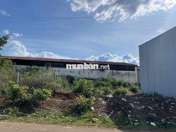 Đất mặt tiền Bùi Viện giá rẻ như đất hẻm