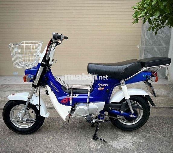 Chaly 50cc 2024 Bstp 9chủ Odo mới 1.500km!