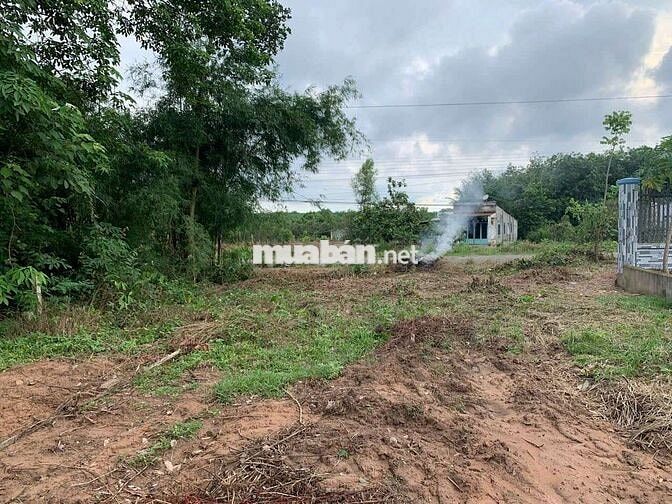 (Chính Chủ Bán) 3632m2 Đất Xã Minh Thạnh,TP.HCM- Mặt Tiền DT749A.