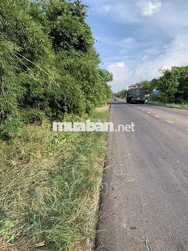 (Chính Chủ Bán) 3632m2 Đất Xã Minh Thạnh,TP.HCM- Mặt Tiền DT749A.
