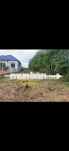 (Chính Chủ Bán) 3632m2 Đất Xã Minh Thạnh,TP.HCM- Mặt Tiền DT749A.