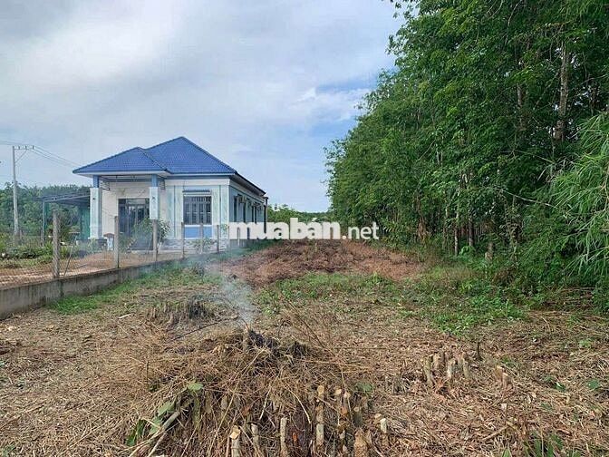 (Chính Chủ Bán) 3632m2 Đất Xã Minh Thạnh,TP.HCM- Mặt Tiền DT749A.