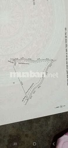 Bán 1,15 Ha Điều tơ. Đồng Bia, Tân Lợi, Bình phước. Mặt đường 300m