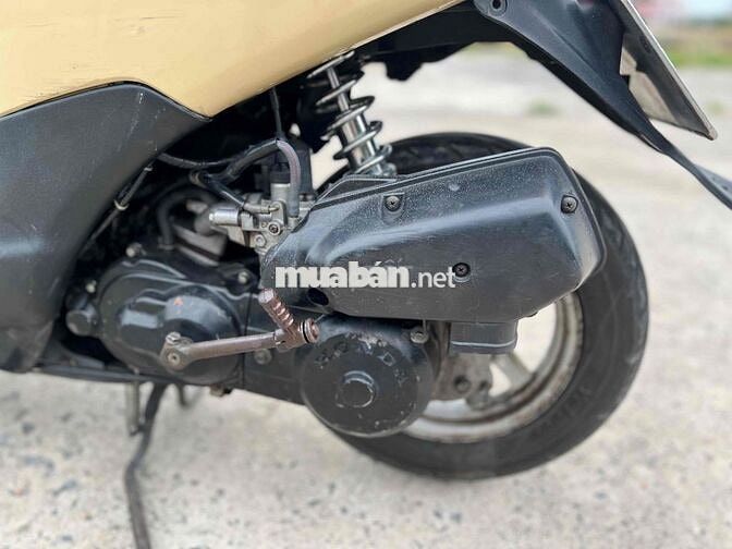 Honda Dio Fit Vàng kem
