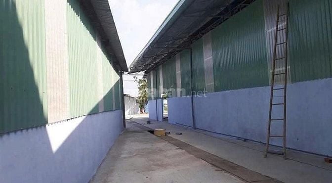 Cho thuê nhà xưởng 1000m2 tại phường An Phú Đông
