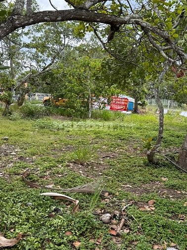 Hàng đẹp 360.7m² nở hậu trực diện núi Chứa Chan - Hạ giá còn 1.05 Tỷ