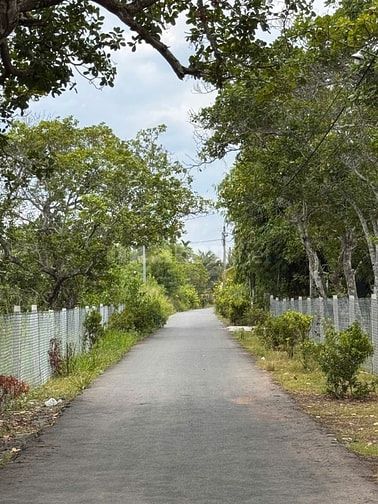 Hàng đẹp 360.7m² nở hậu trực diện núi Chứa Chan - Hạ giá còn 1.05 Tỷ