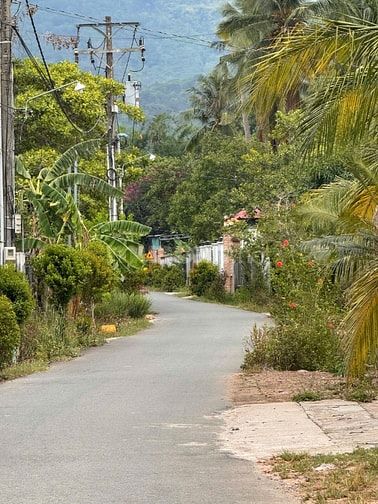 Hàng đẹp 360.7m² nở hậu trực diện núi Chứa Chan - Hạ giá còn 1.05 Tỷ