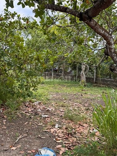 Hàng đẹp 360.7m² nở hậu trực diện núi Chứa Chan - Hạ giá còn 1.05 Tỷ