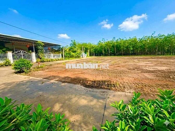 Chính chủ trực tiếp bán lô đất thổ cư của gia đình đầy đủ tiện ích